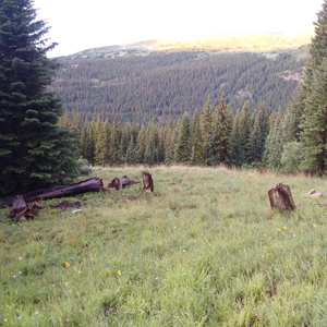 Quandary Peak (01).jpg